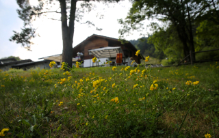 Casa Alpina Petit Rosier