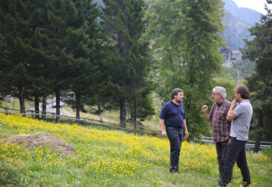 Champorcher Petit Rosier agosto2015